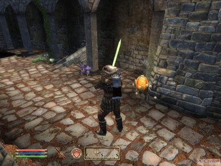 The Elder Scrolls IV: Shivering Isles