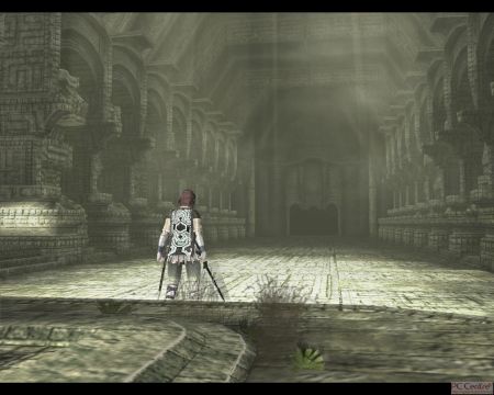 Screen z gry Shadow of the Colossus