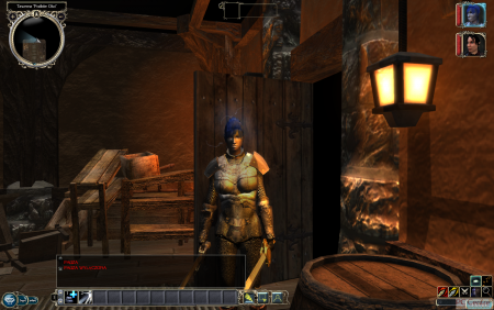 Galeria z gry Neverwinter Nights 2 - Wrota Zachodu