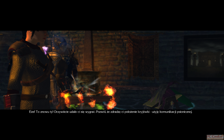 Galeria z gry Neverwinter Nights 2 - Wrota Zachodu