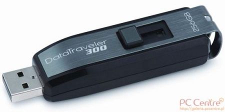 Kingston DataTraveler 300 256GB