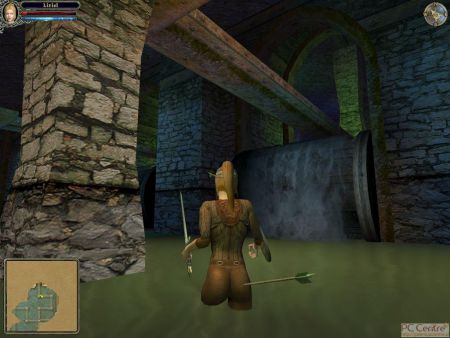 Screen z gry Dungeon Lords