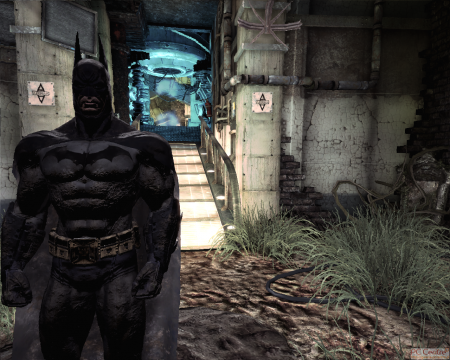 Screen z gry Batman: Arkham Asylum