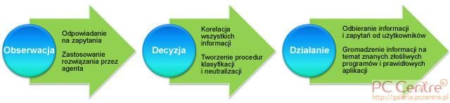 Jak działa kolektywna inteligencja